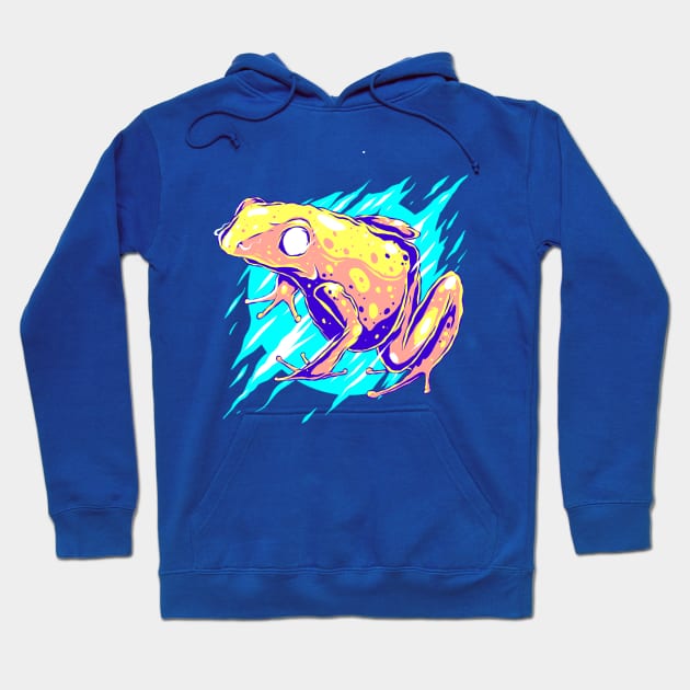 Colorful abstract frog Hoodie by Mako Design 